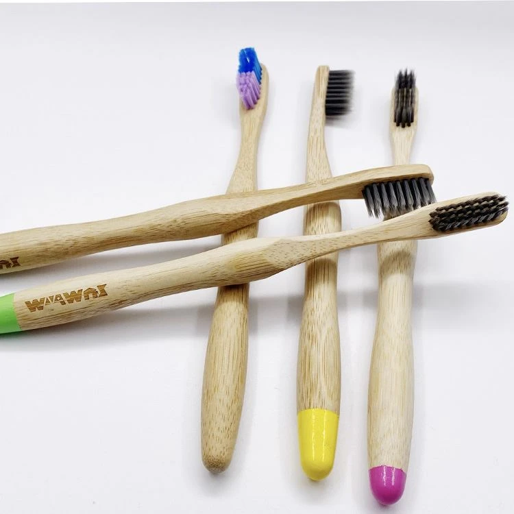 Eco Organic BPA Free Bristles Bamboo Toothbrush