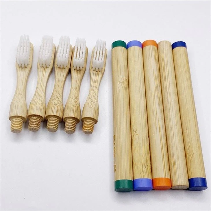 eco friendly changable head bamboo toothbrushes